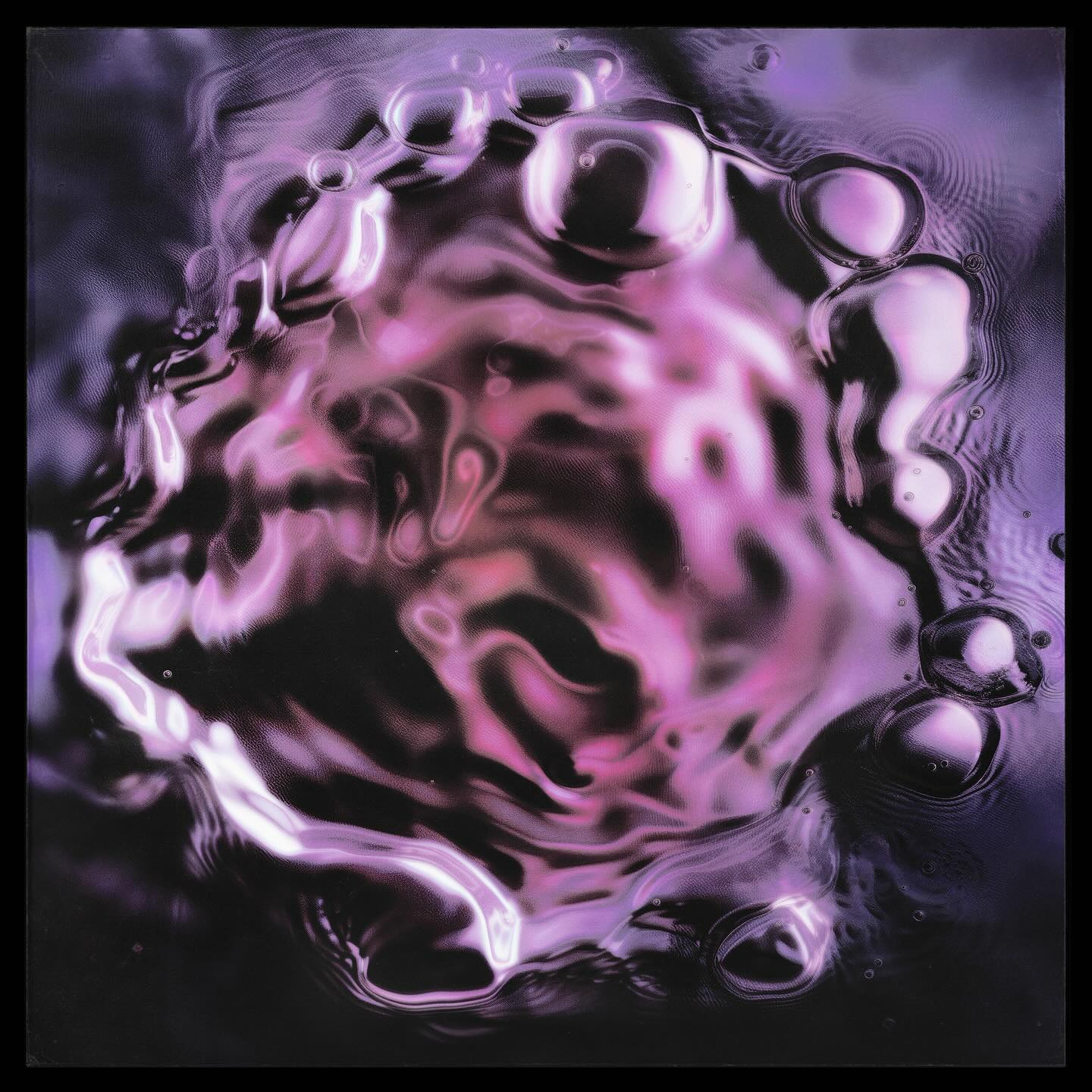 448163255_1000470235075287_2238084047554244667_n.jpg