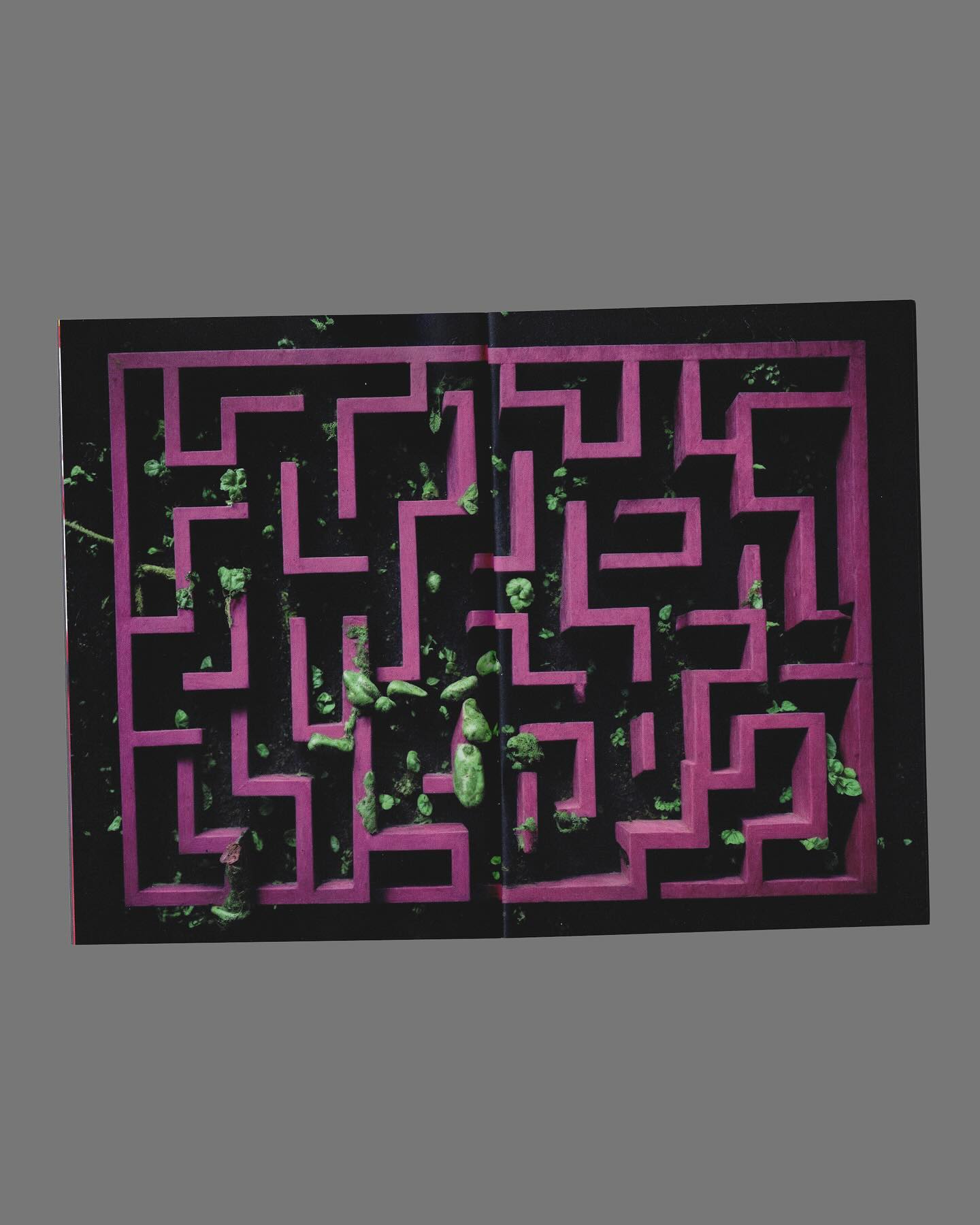 448454783_883369190500356_283160563556795078_n.jpg