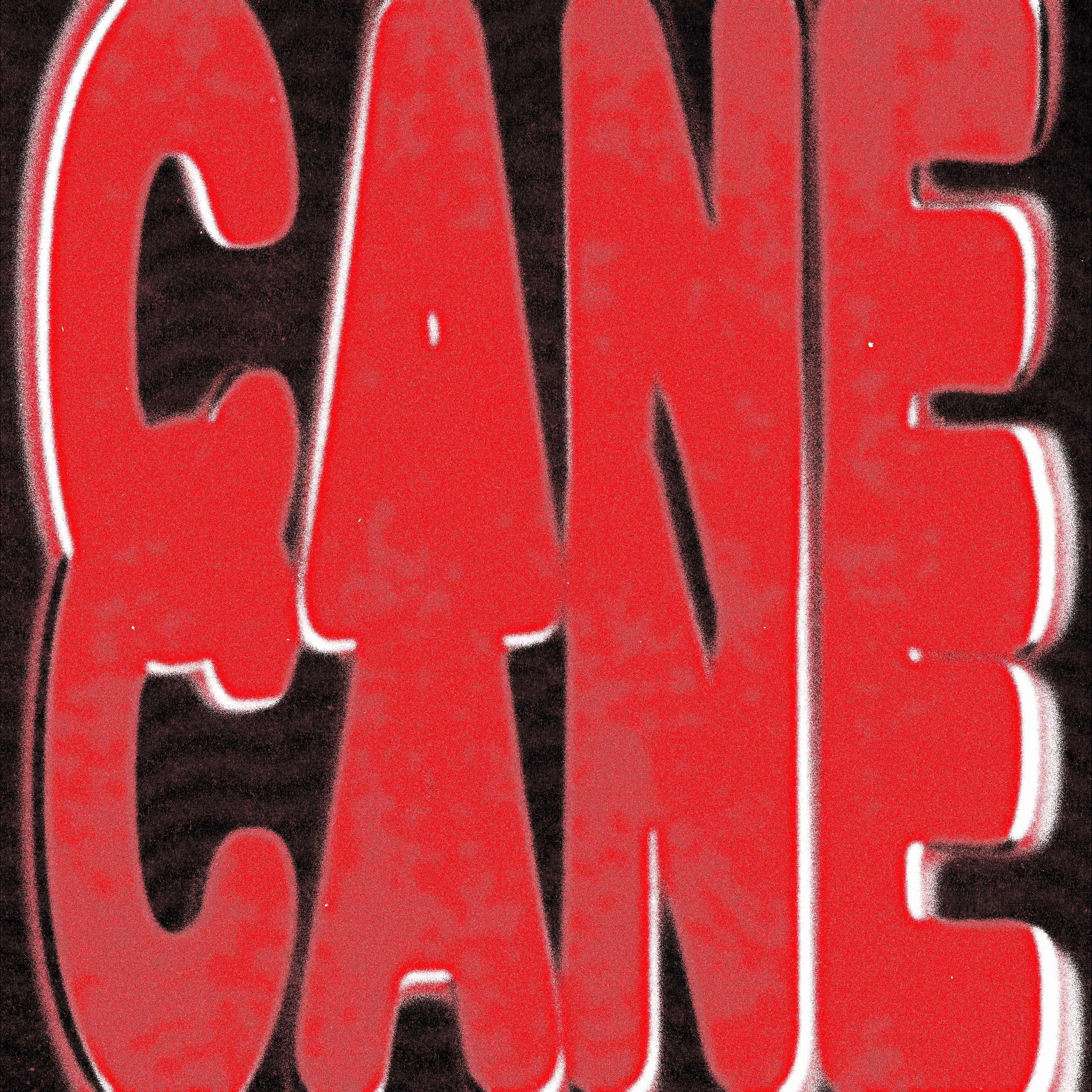 CANE_CANE_MECAN.jpg