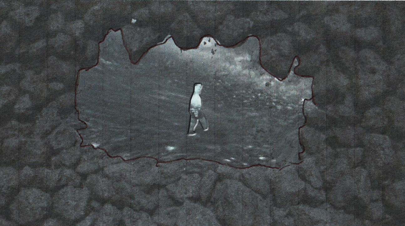 FRAMES_2.jpg