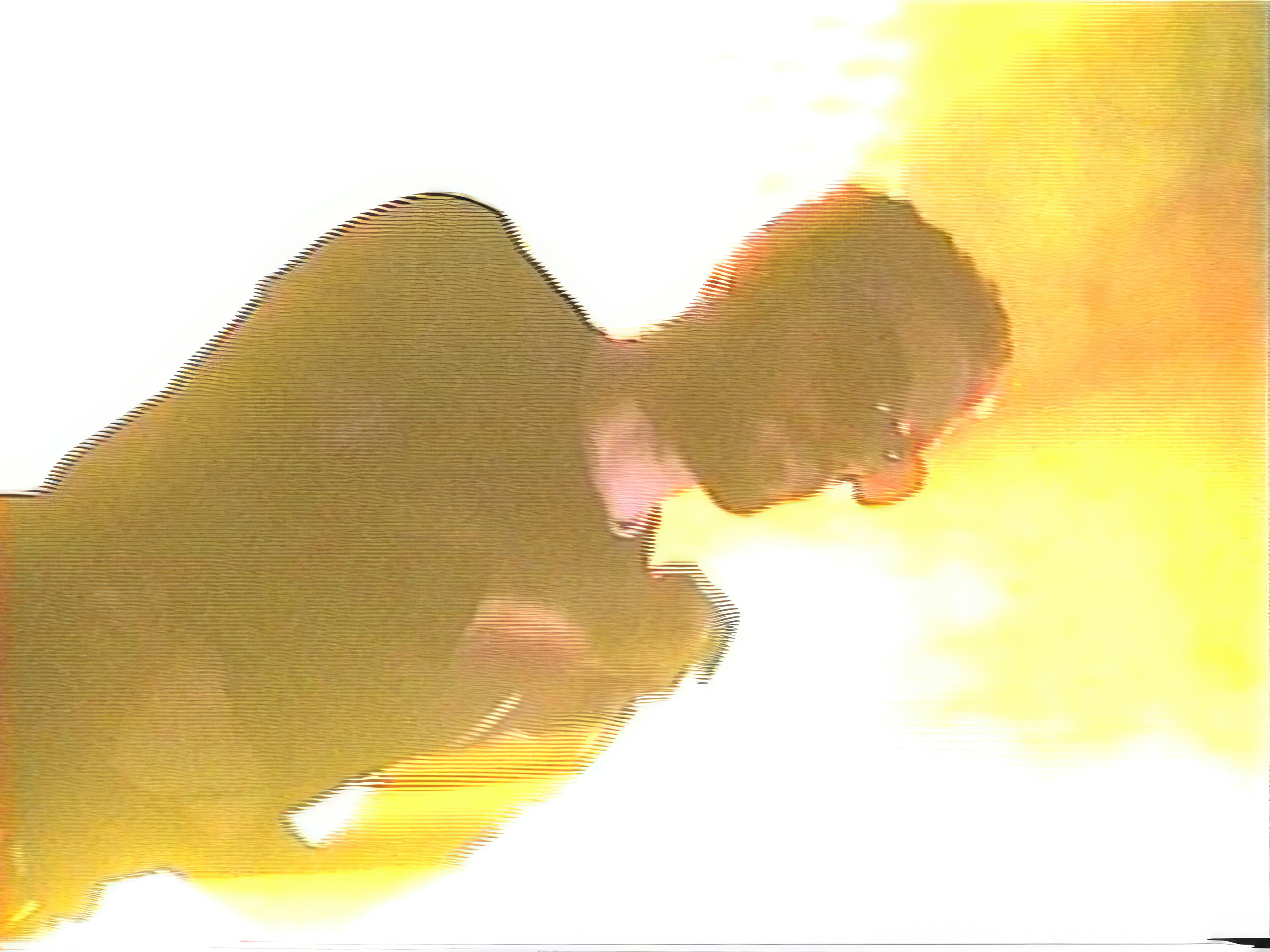 FUERA_TERLIZZI.mp4_.00_31_18_14.Immagine014.jpg