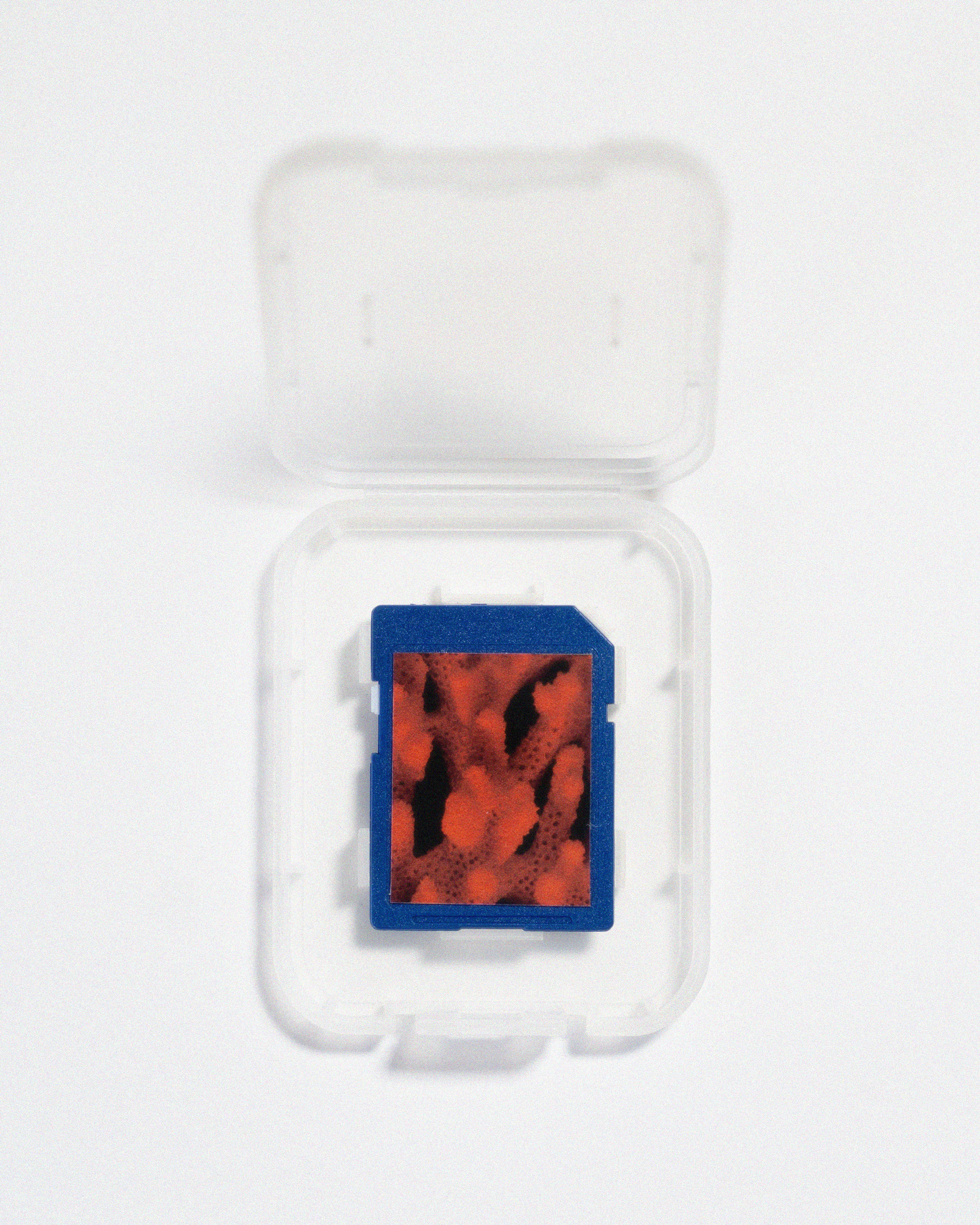 SIL01380.jpg