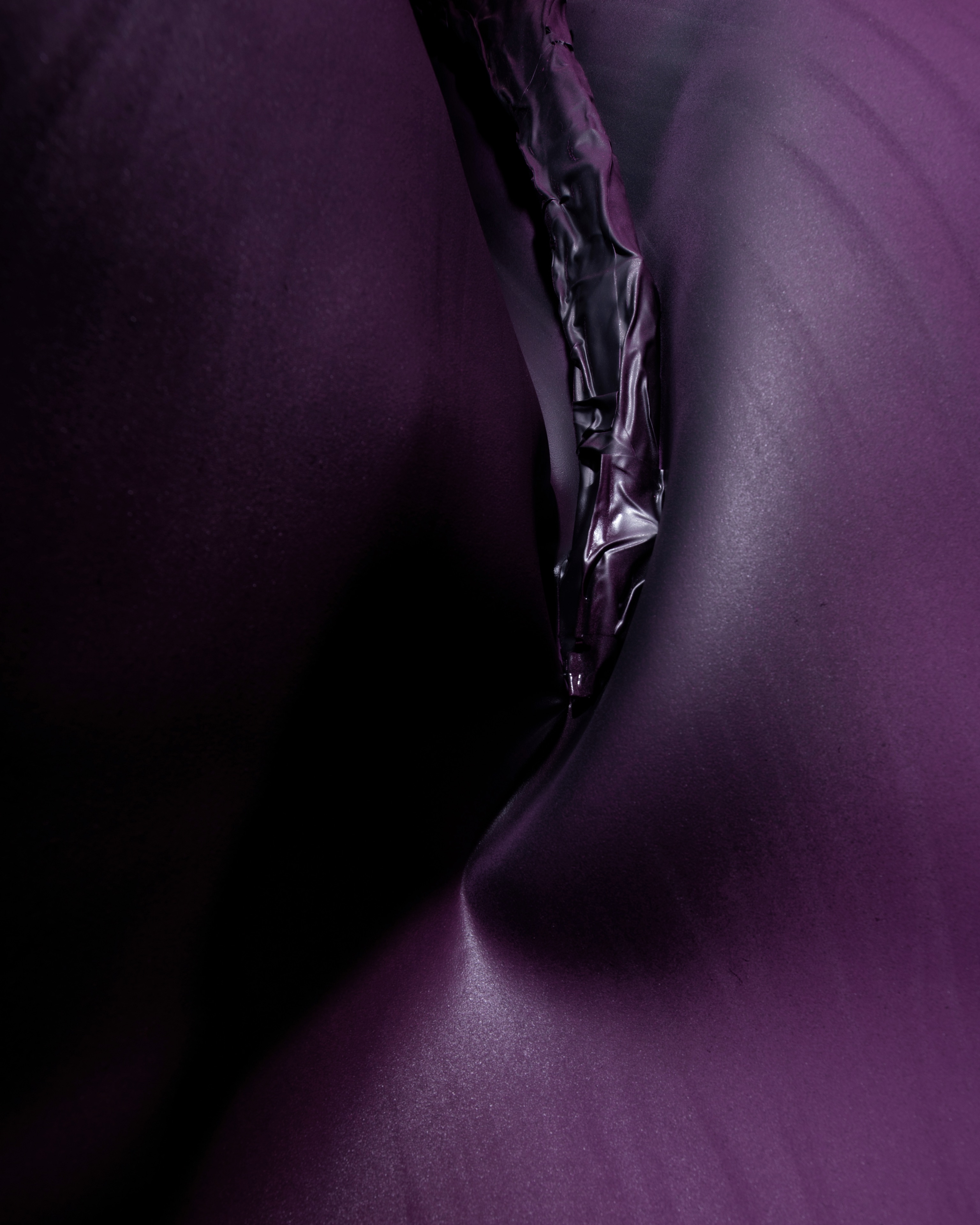 SIL04304_compressed.jpg