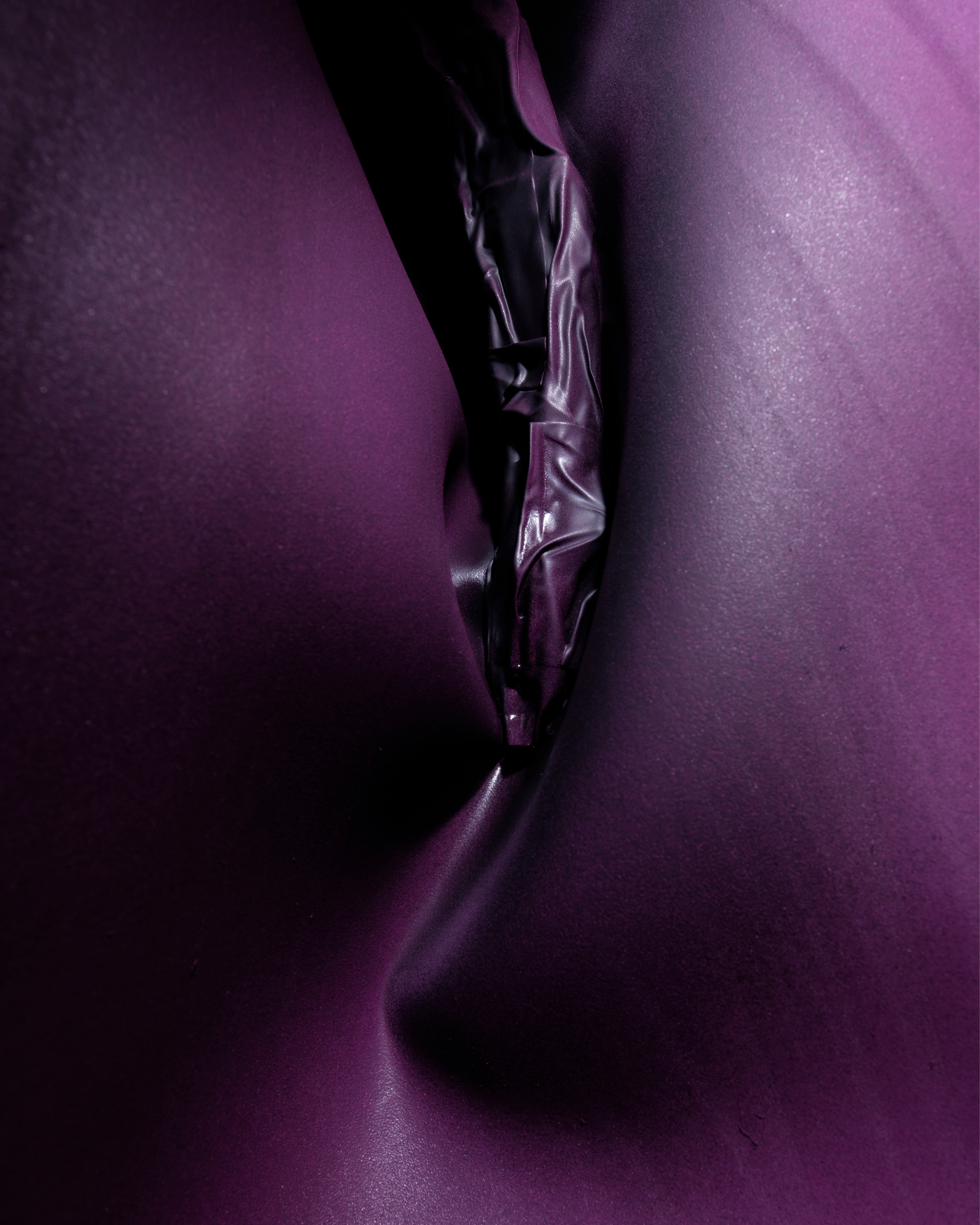 SIL04310_compressed.jpg