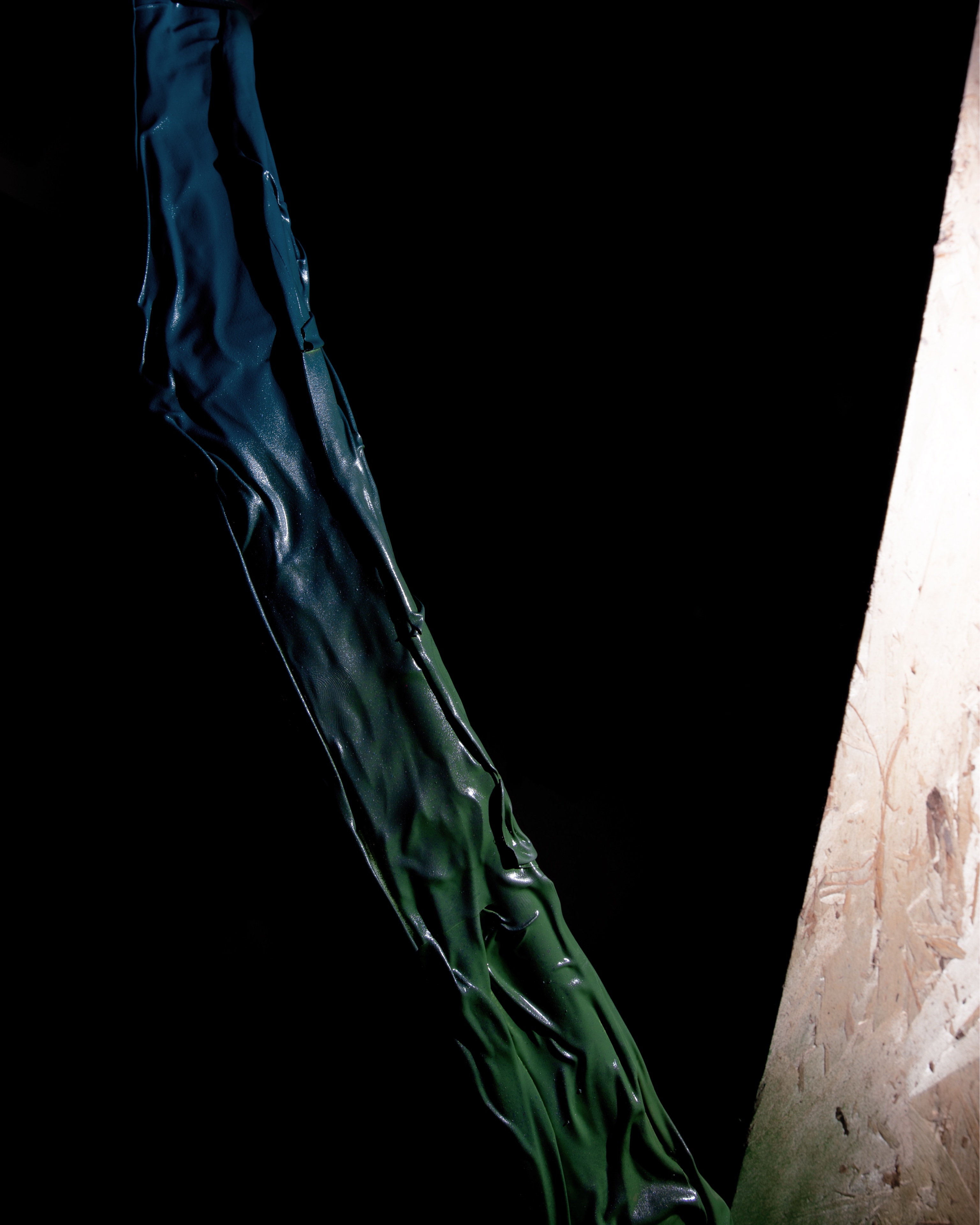 SIL04313_compressed.jpg