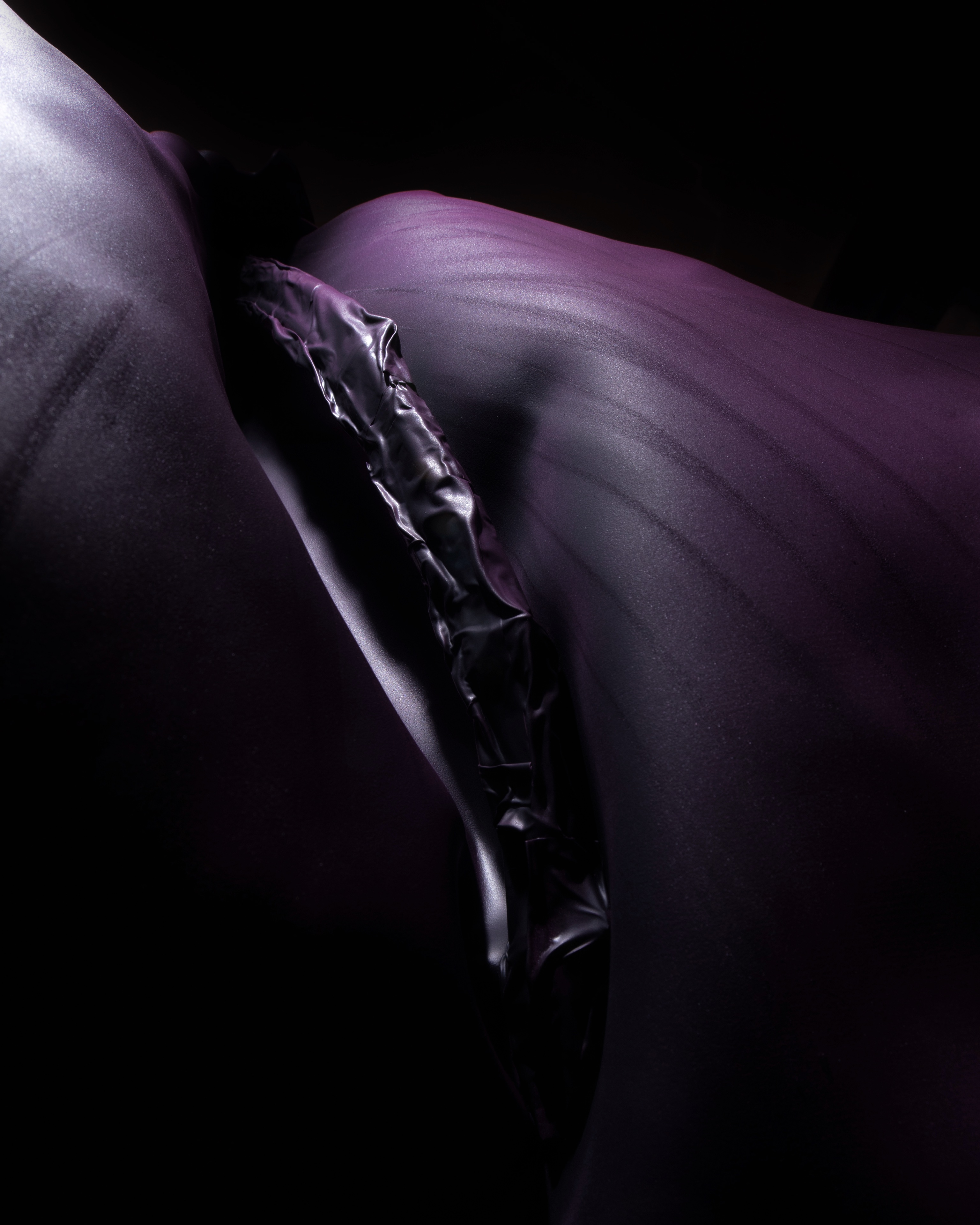 SIL04332_compressed.jpg