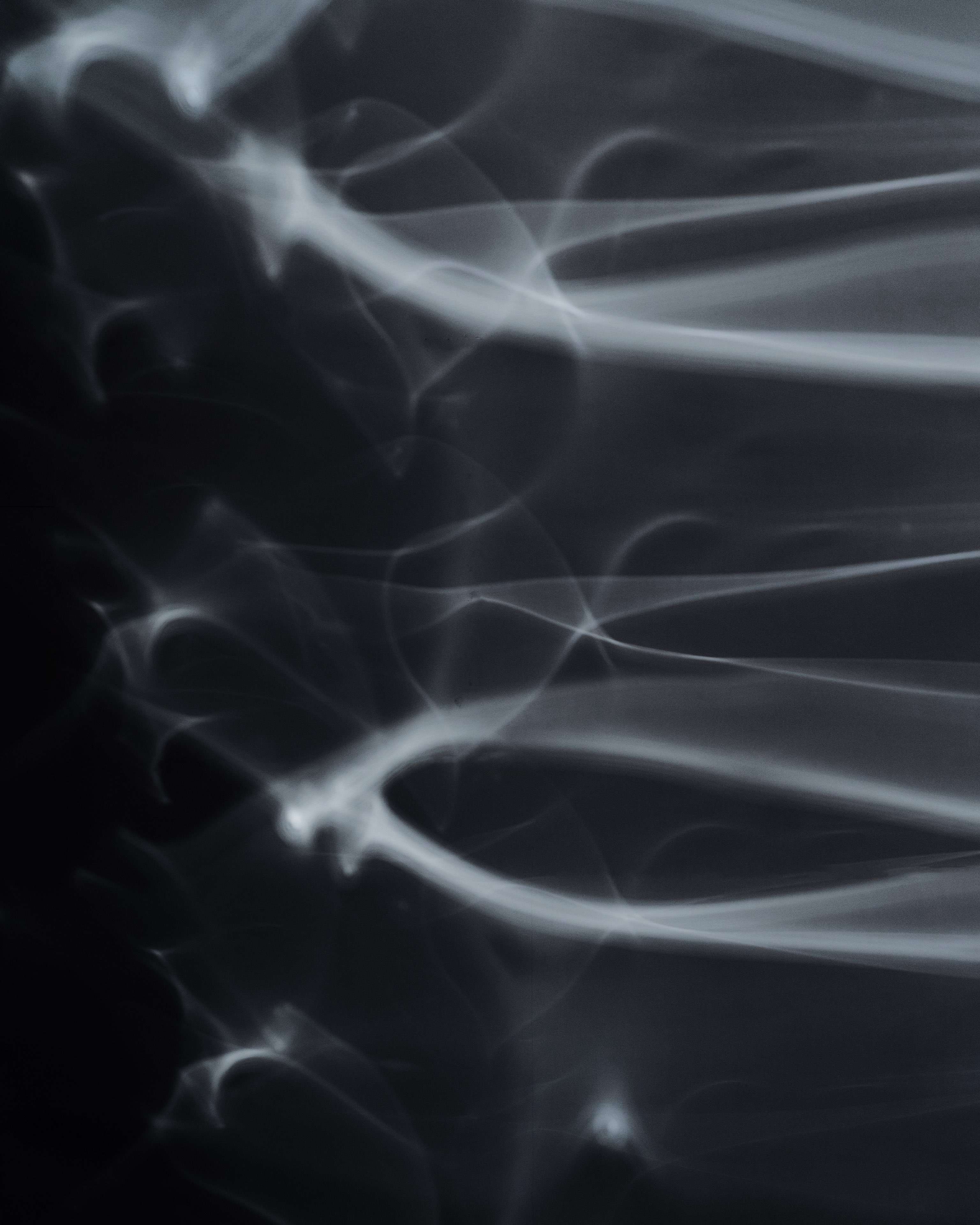 SIL04434_compressed.jpg