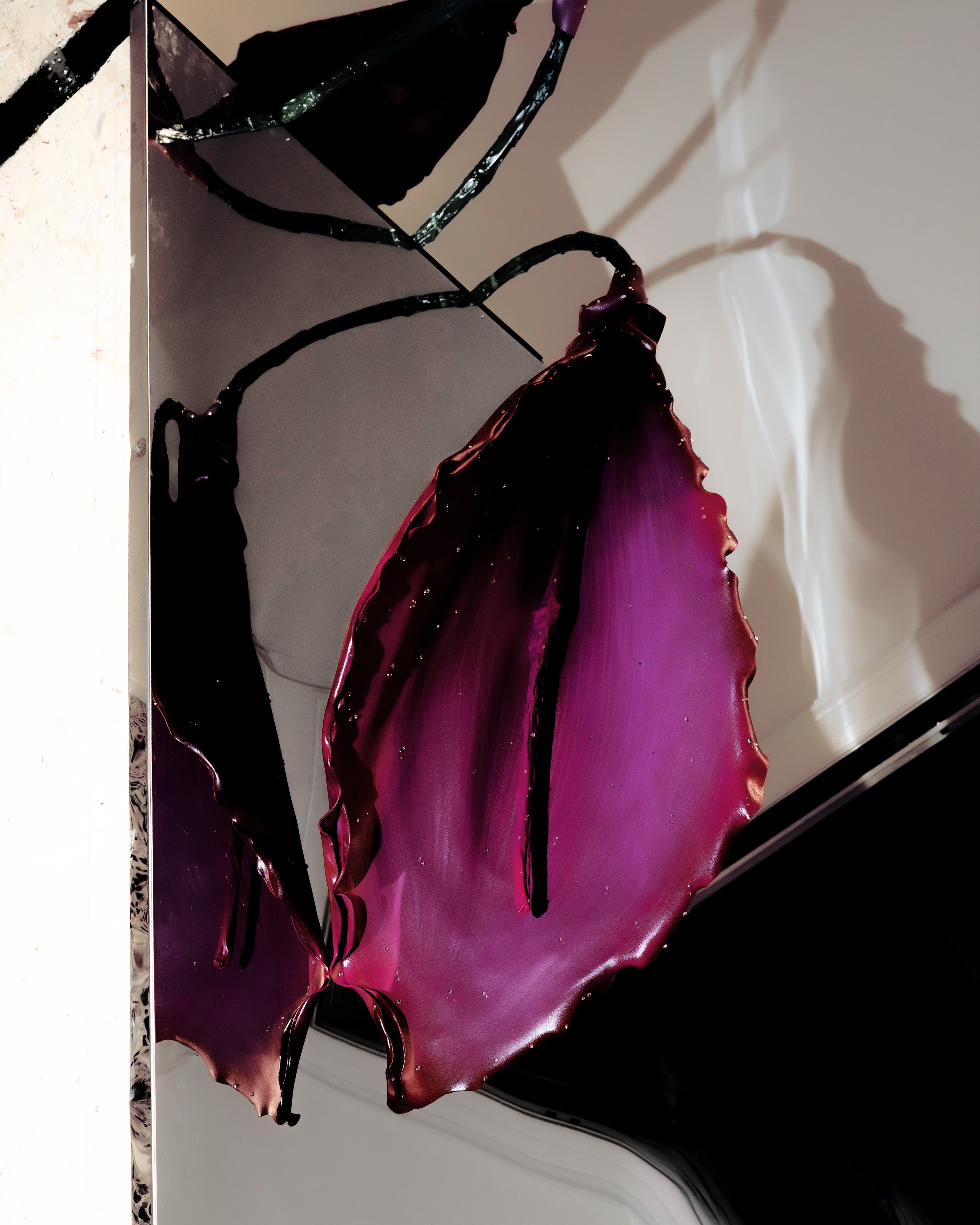 SIL04617_compressed.jpg