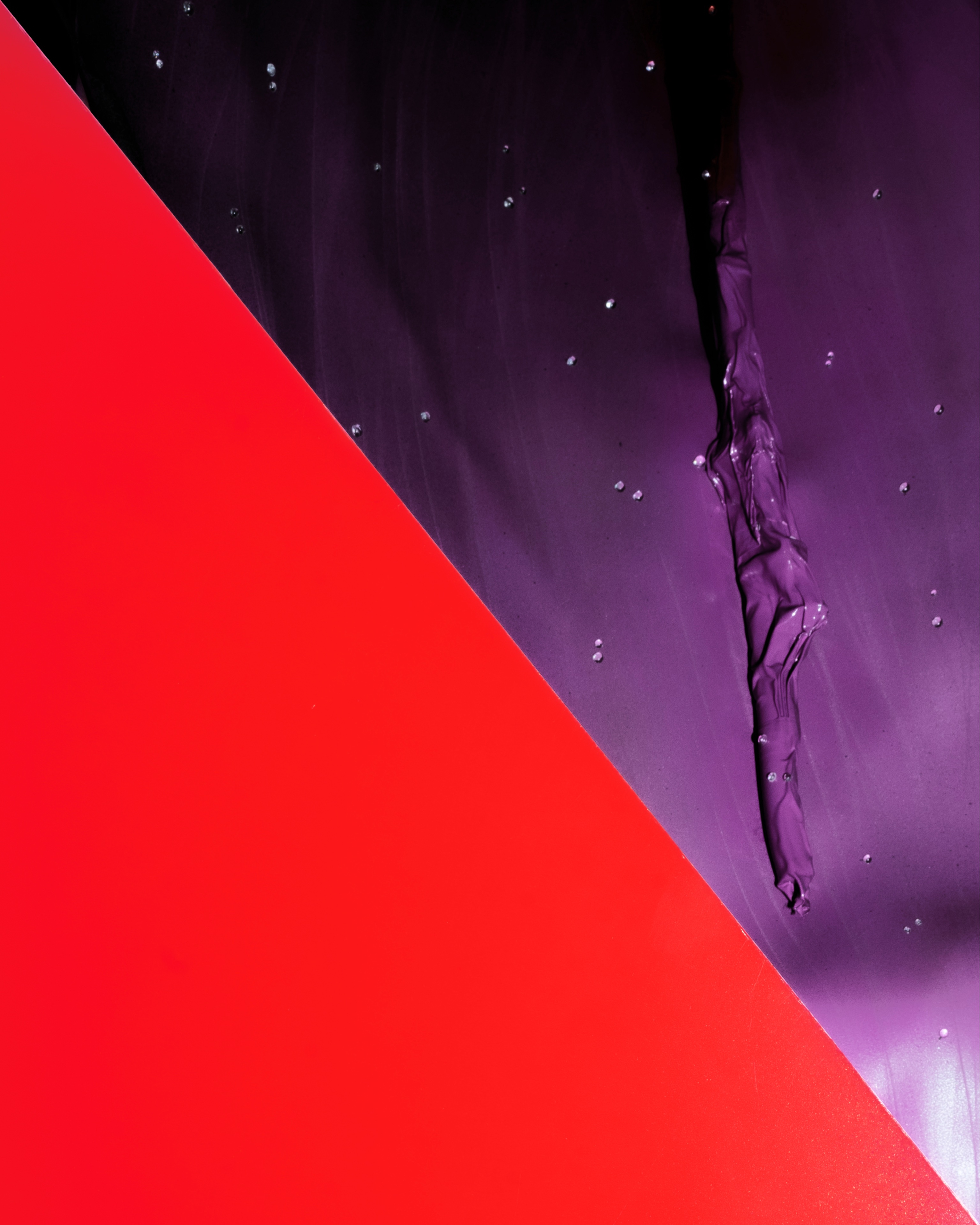 SIL04725_compressed.jpg