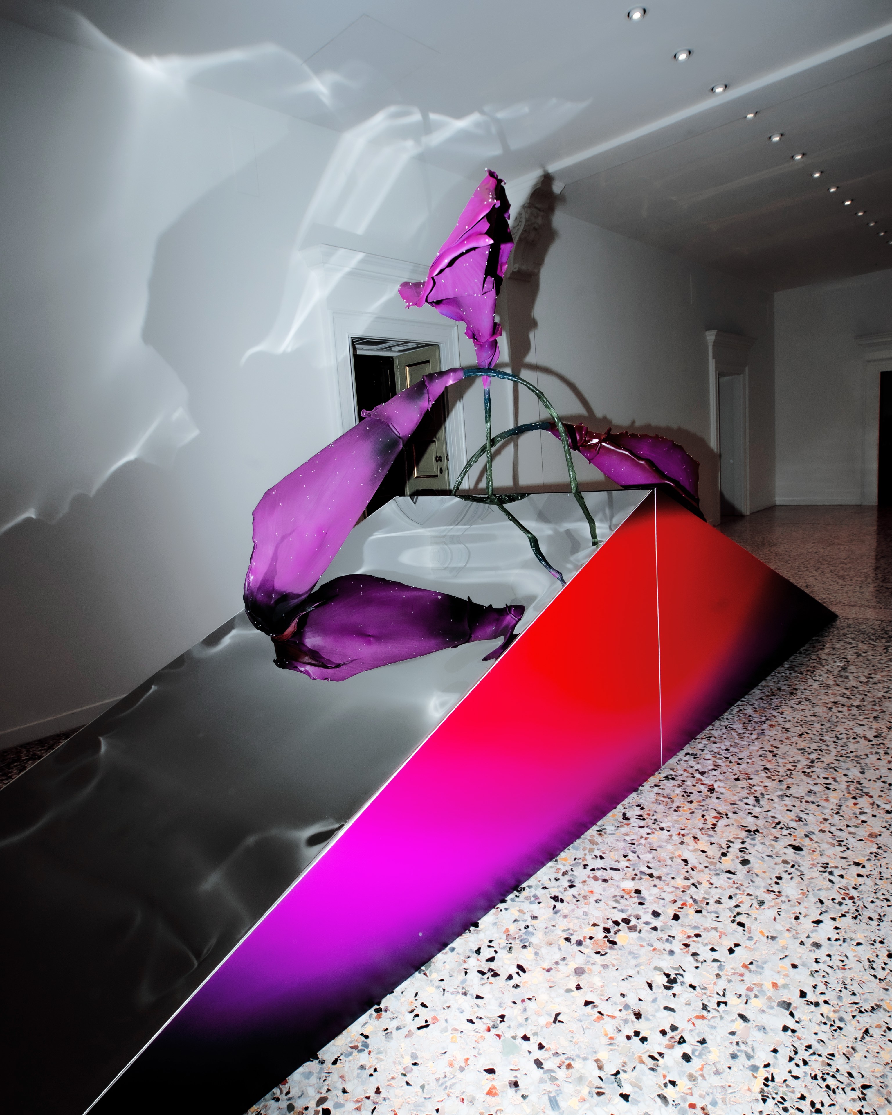 SIL04767_compressed.jpg