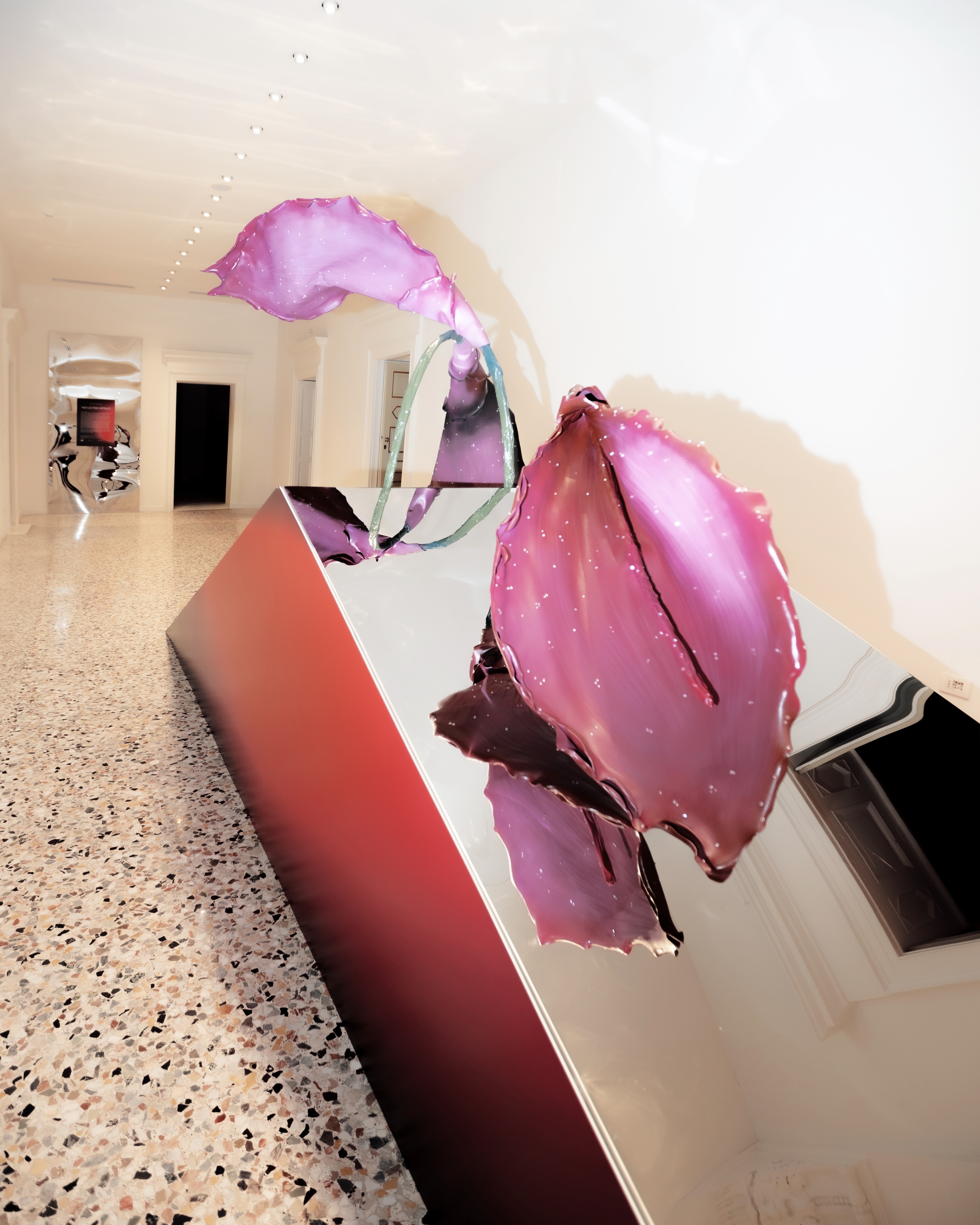 SIL04840_compressed.jpg
