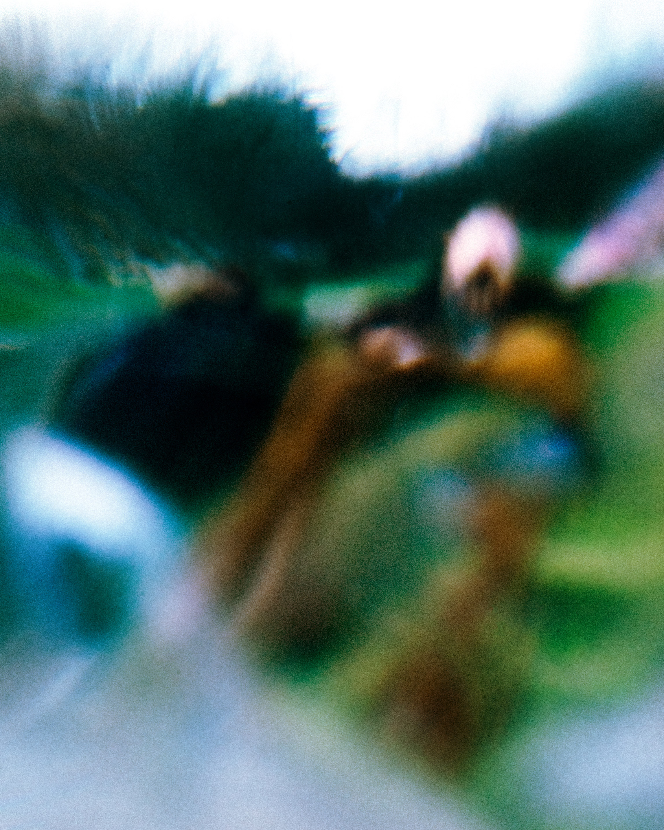 SIL09013.jpg