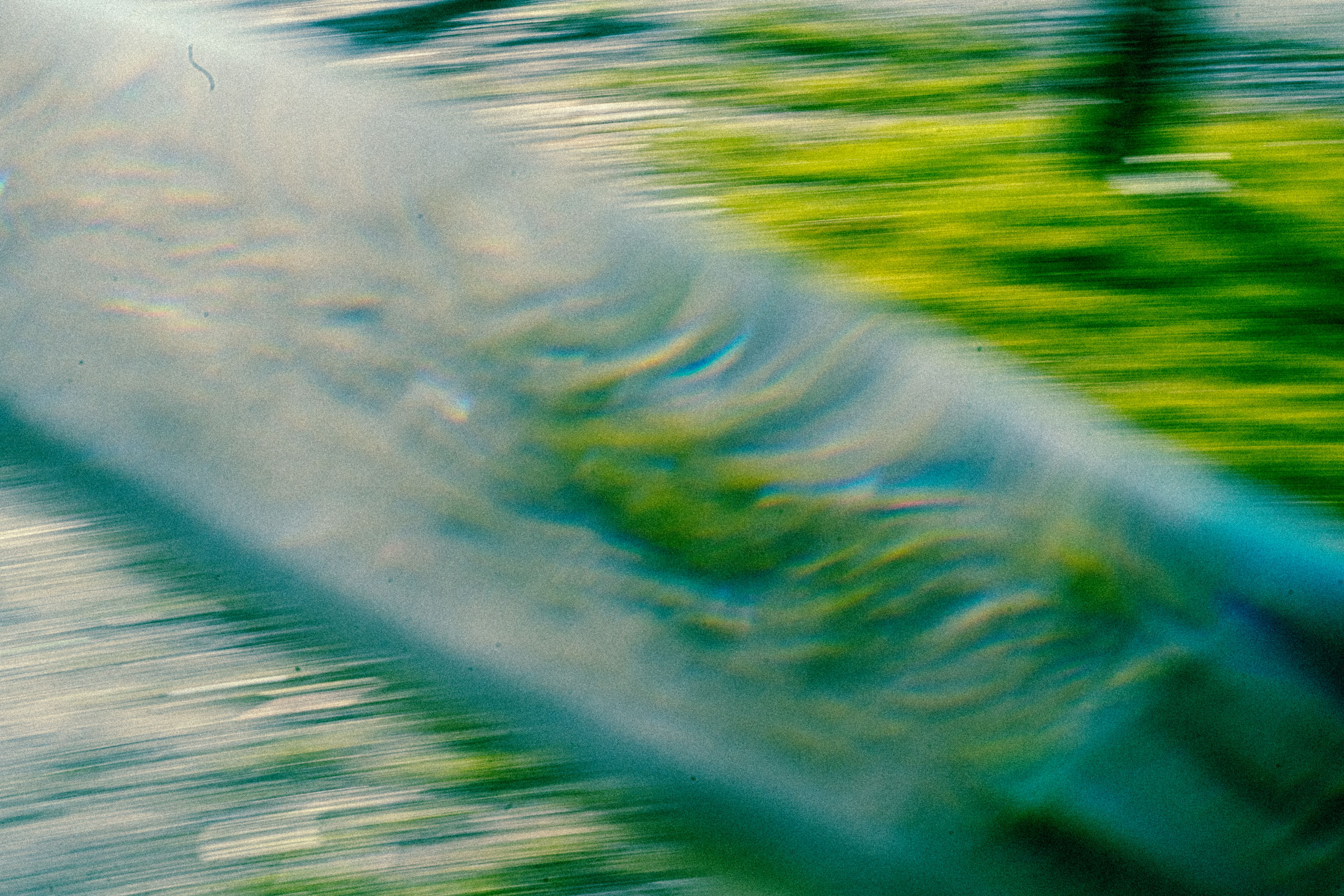 SIL09118.jpg