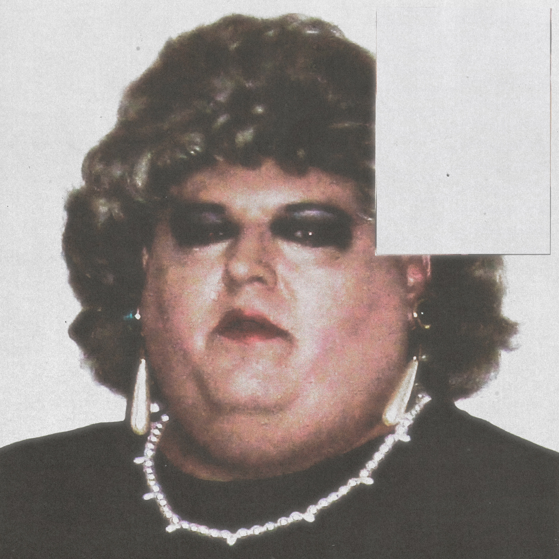 VIGANIPADDON_4.jpg